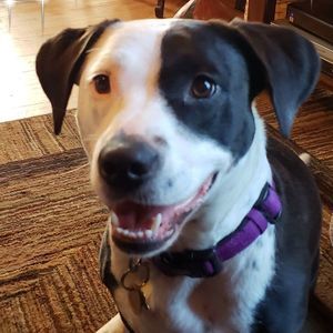 Meet your Posher, Ann